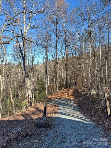 a view of street along with trees