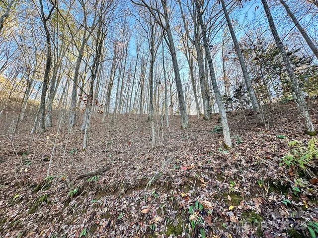 a view of backyard with green space