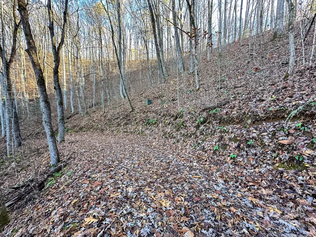 a view of backyard with green space