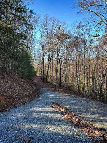 a view of a yard with trees