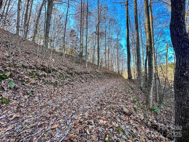 a view of backyard with green space