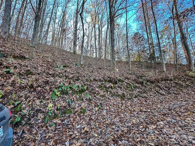 a view of a backyard of the house