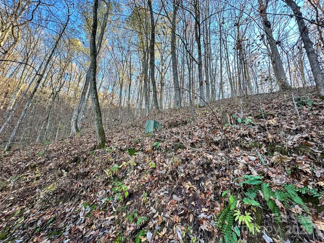 $385,000 | 383 Blue Mist Mountain Road, Whittier, NC 28789