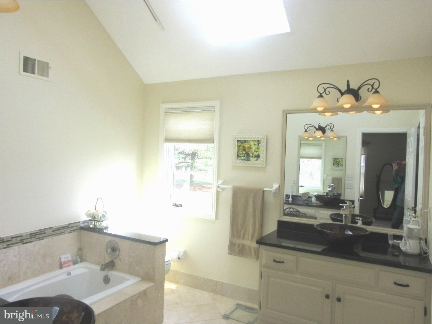 233 Heather Ridge Circle West Chester, PA 19382 - Photo 15 of 25 Master Bathroom