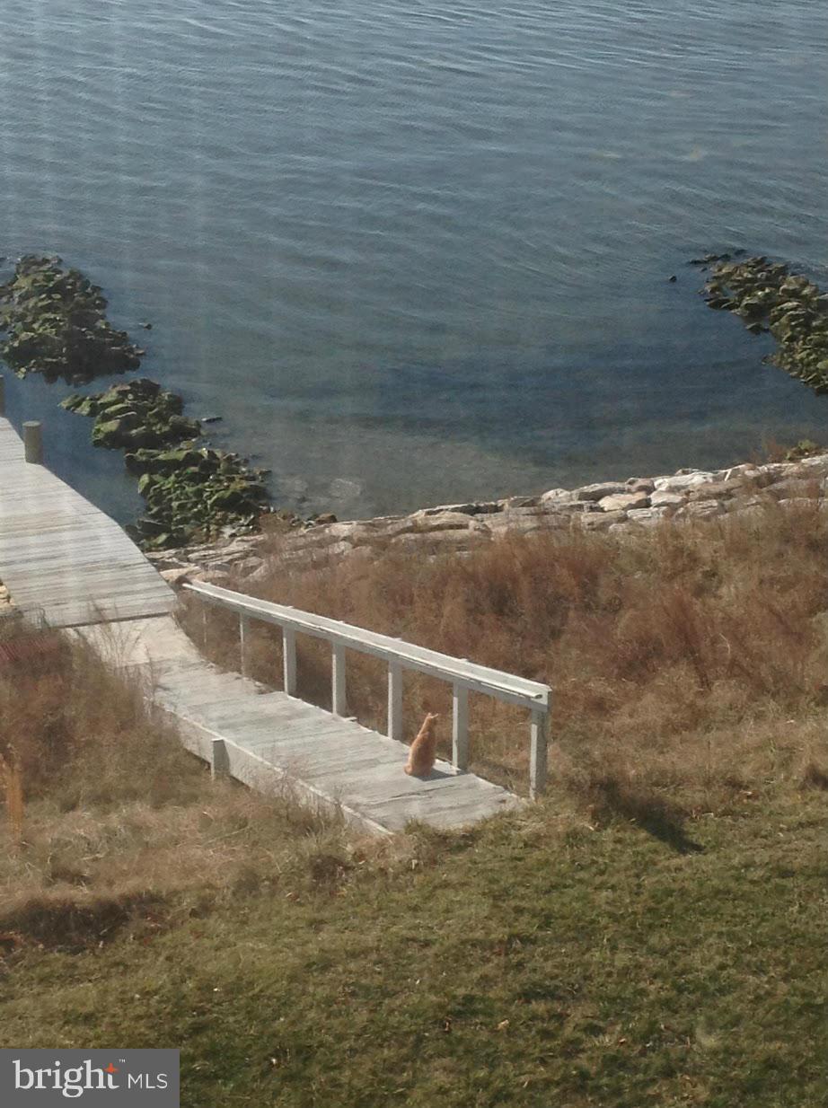 1423 Sharps Point Road Annapolis, MD 21409 - Photo 2 of 14 Gradual wide steps to the water