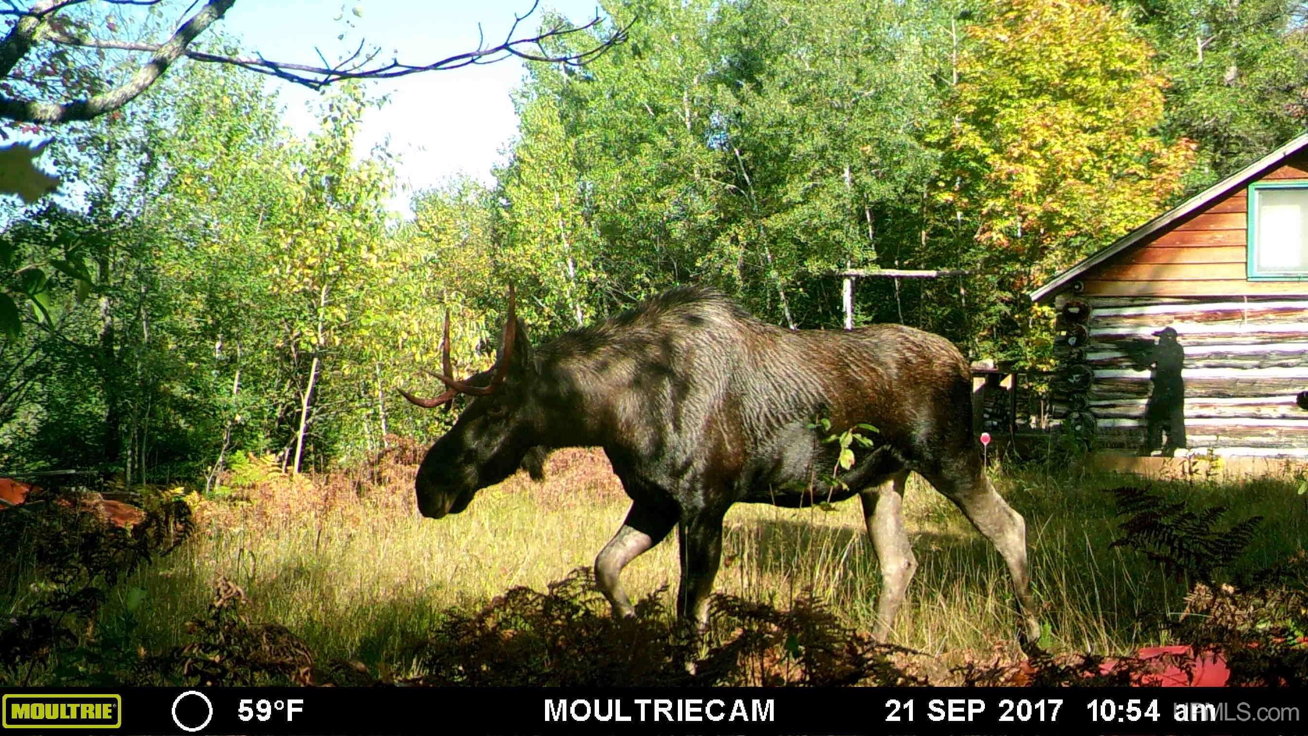 Tbd Lukes Road Amasa, MI 49903 - Photo 4 of 24