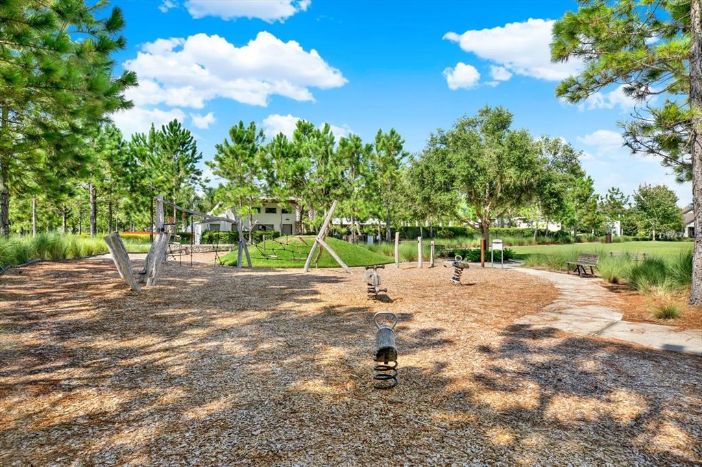 3023 Riders Pass Odessa, FL 33556 - Photo 41 of 46