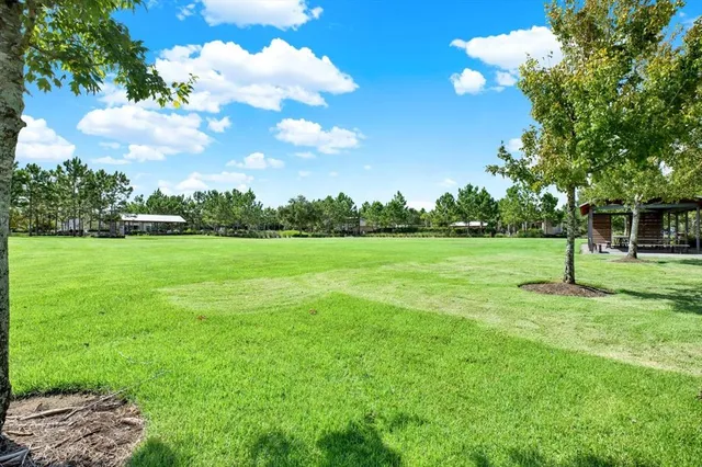 a view of a garden with a entertaining space