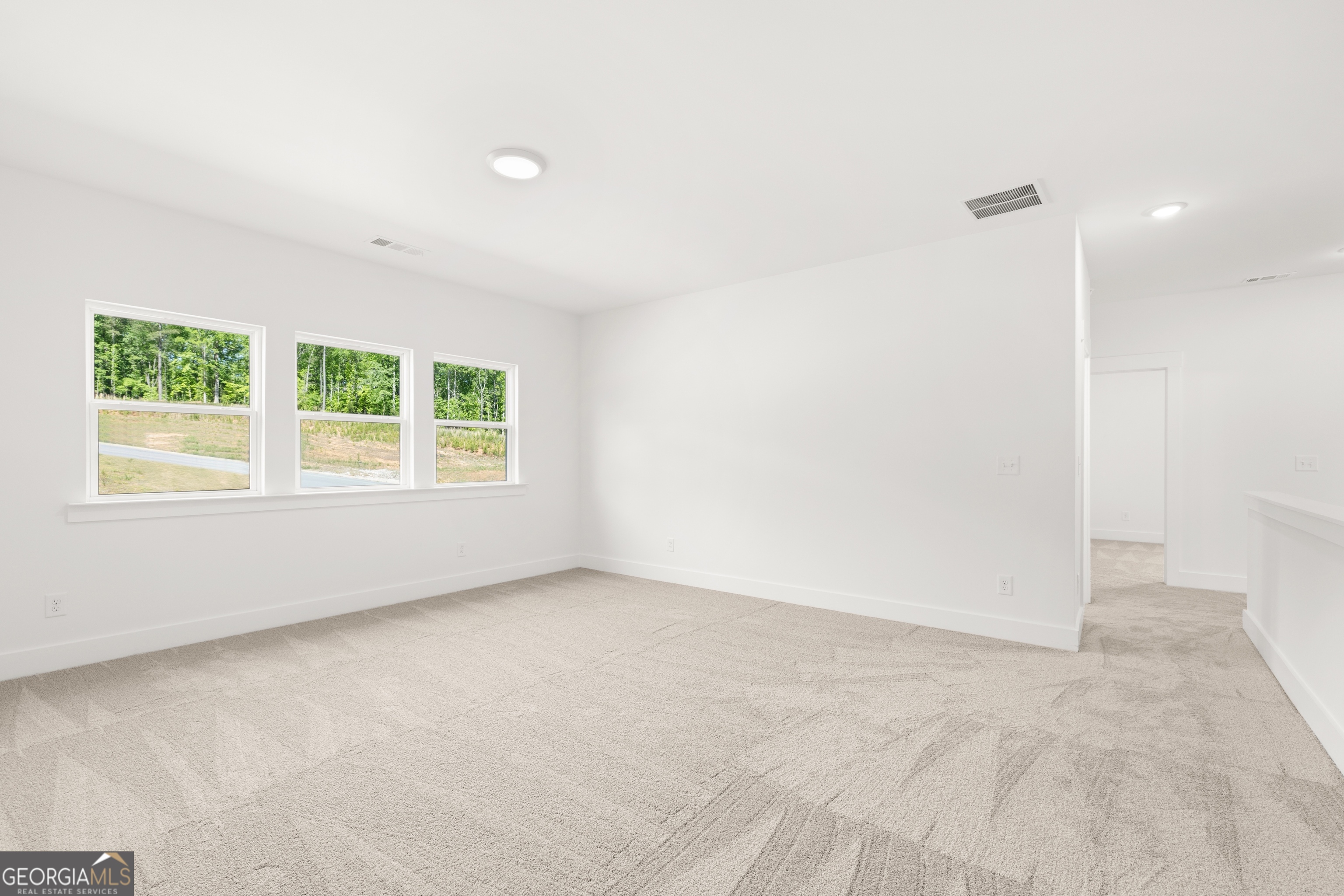 15 Overview Court Hoschton, GA 30548 - Photo 29 of 43 an empty room with windows