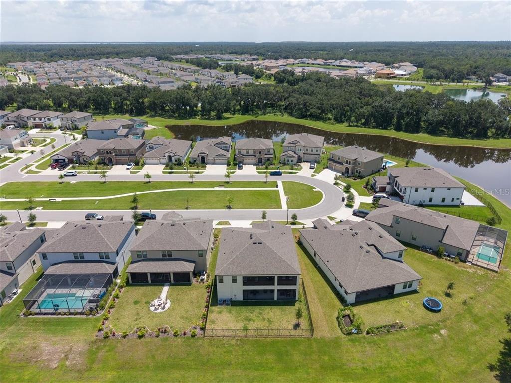 12962 Steed Trce Loop Lithia, FL 33547 - Photo 50 of 55 Gallery Image 50