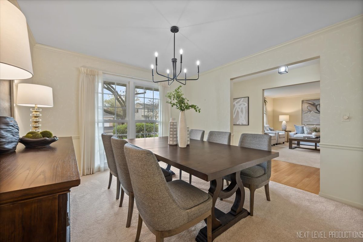 554 Carriage Hill Road Naperville, IL 60565 - Photo 4 of 41 Gallery Image 4
