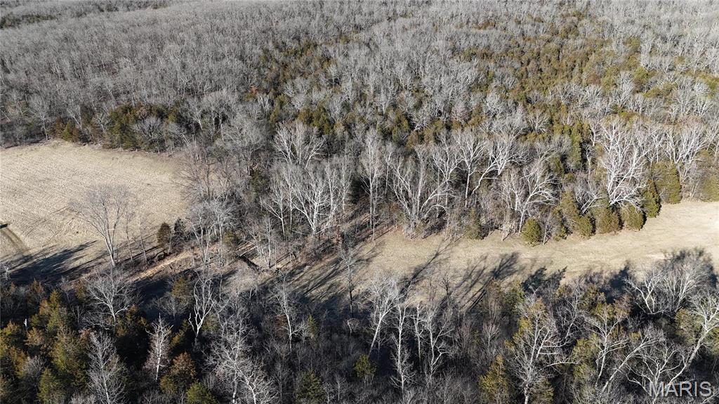 2 Lot Hematite Farms Road Festus, MO 63028 - Photo 3 of 3