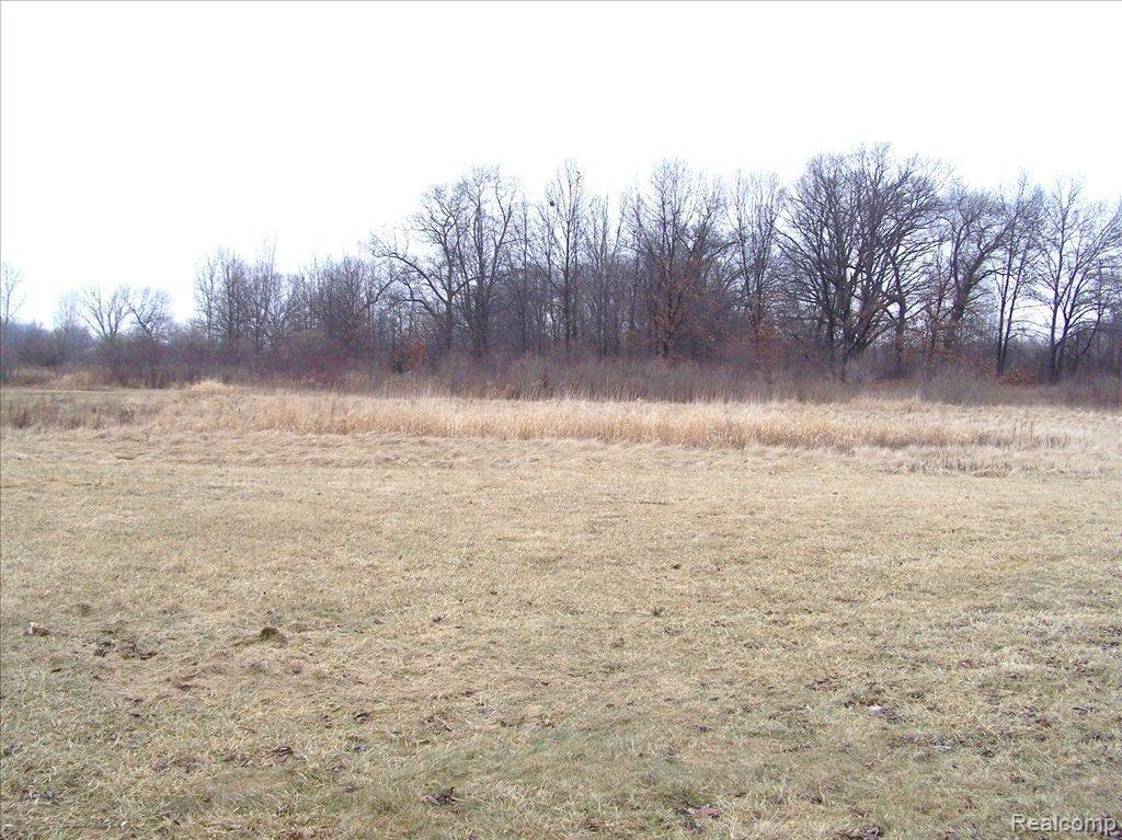 51330 Arkona Road Belleville, MI 48111 - Photo 4 of 13 2 ACRES FOR POLE BARN OR GARAGE