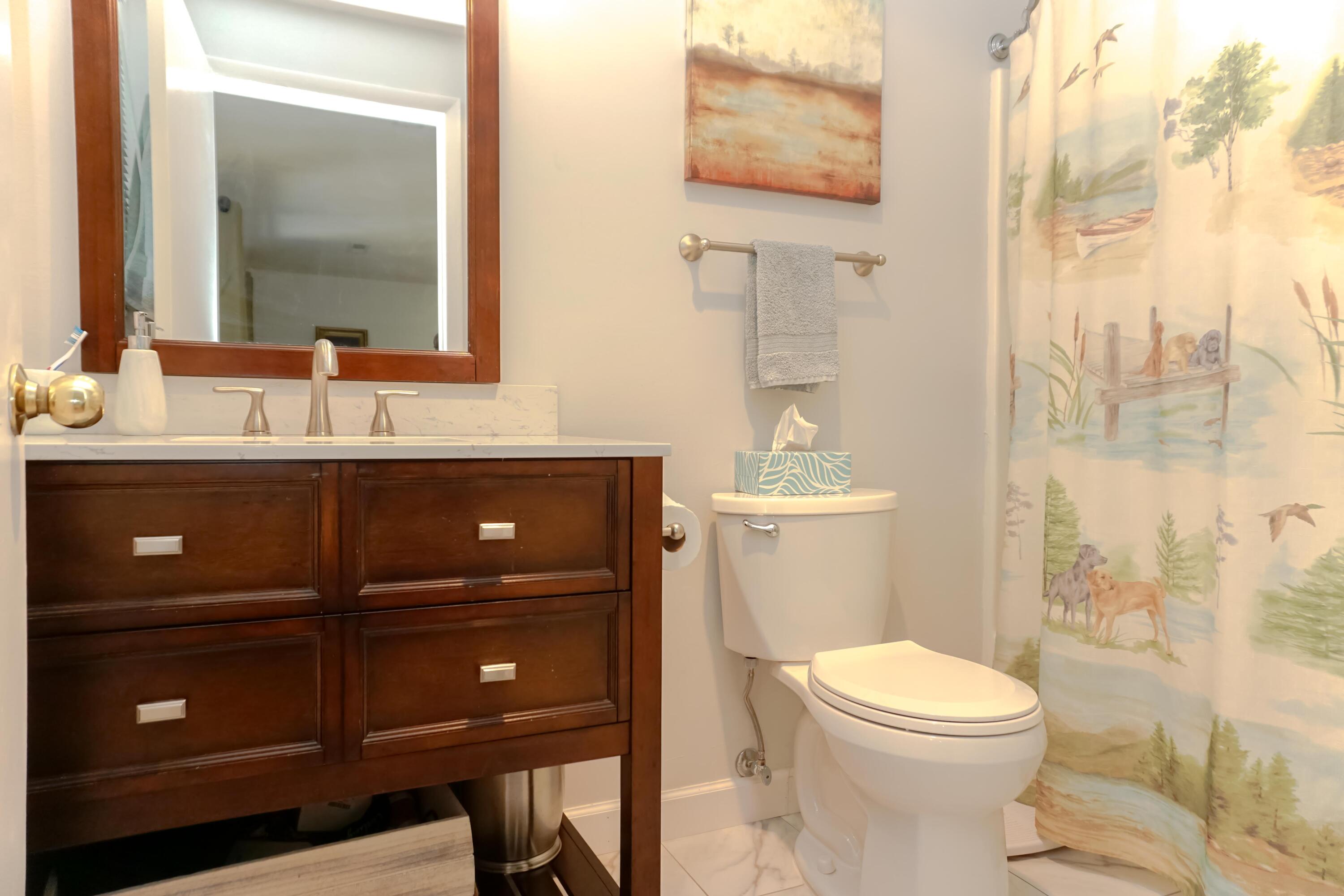 497 Cedar Ridge Road Union Hall, VA 24176 - Photo 21 of 31 a bathroom with a toilet a sink a vanity and mirror
