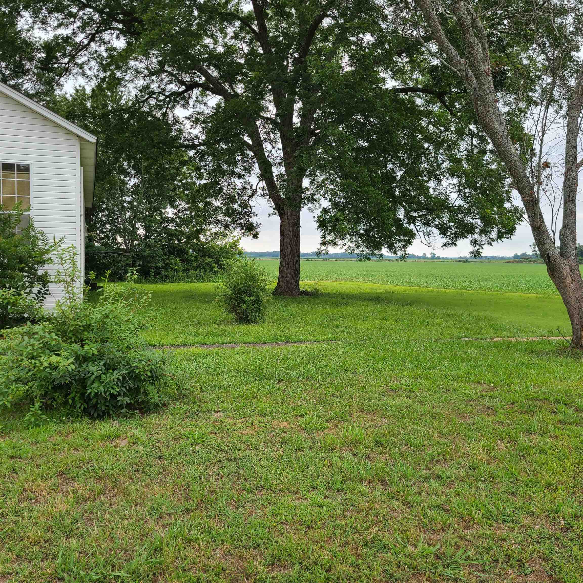 302 Southeast Front Street Rutherford, TN 38369 - Photo 8 of 9