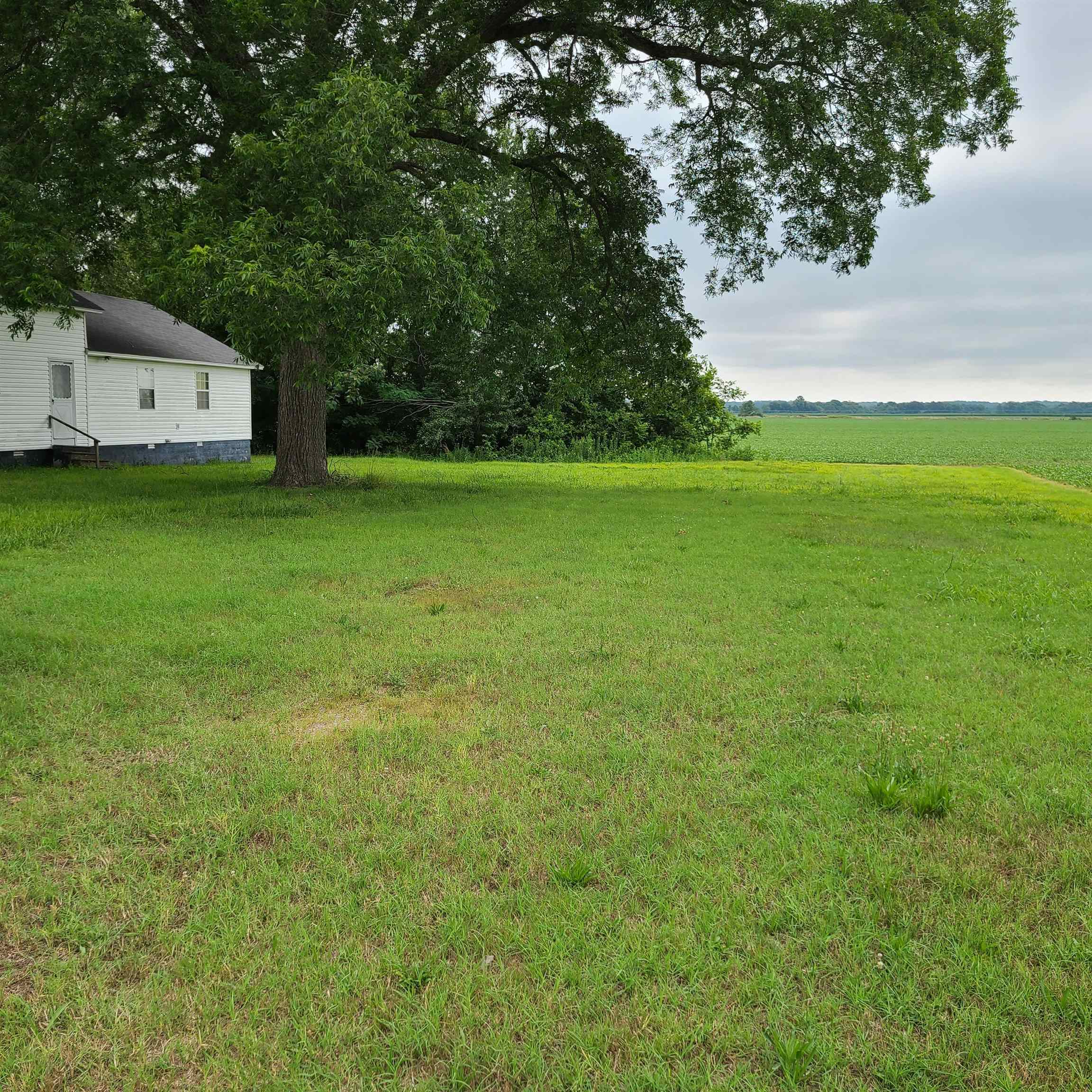 302 Southeast Front Street Rutherford, TN 38369 - Photo 9 of 9