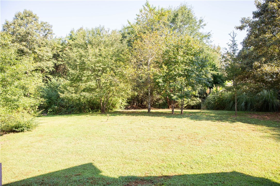 517 Ivy Spring Court Seneca, SC 29678 - Photo 39 of 48 Gallery Image 39