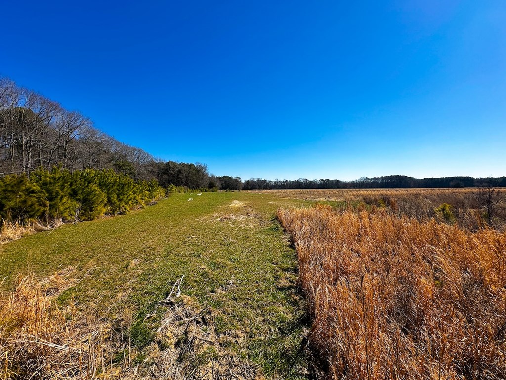 76.19-ac Saxis Road Temperanceville, VA 23442 - Photo 27 of 37