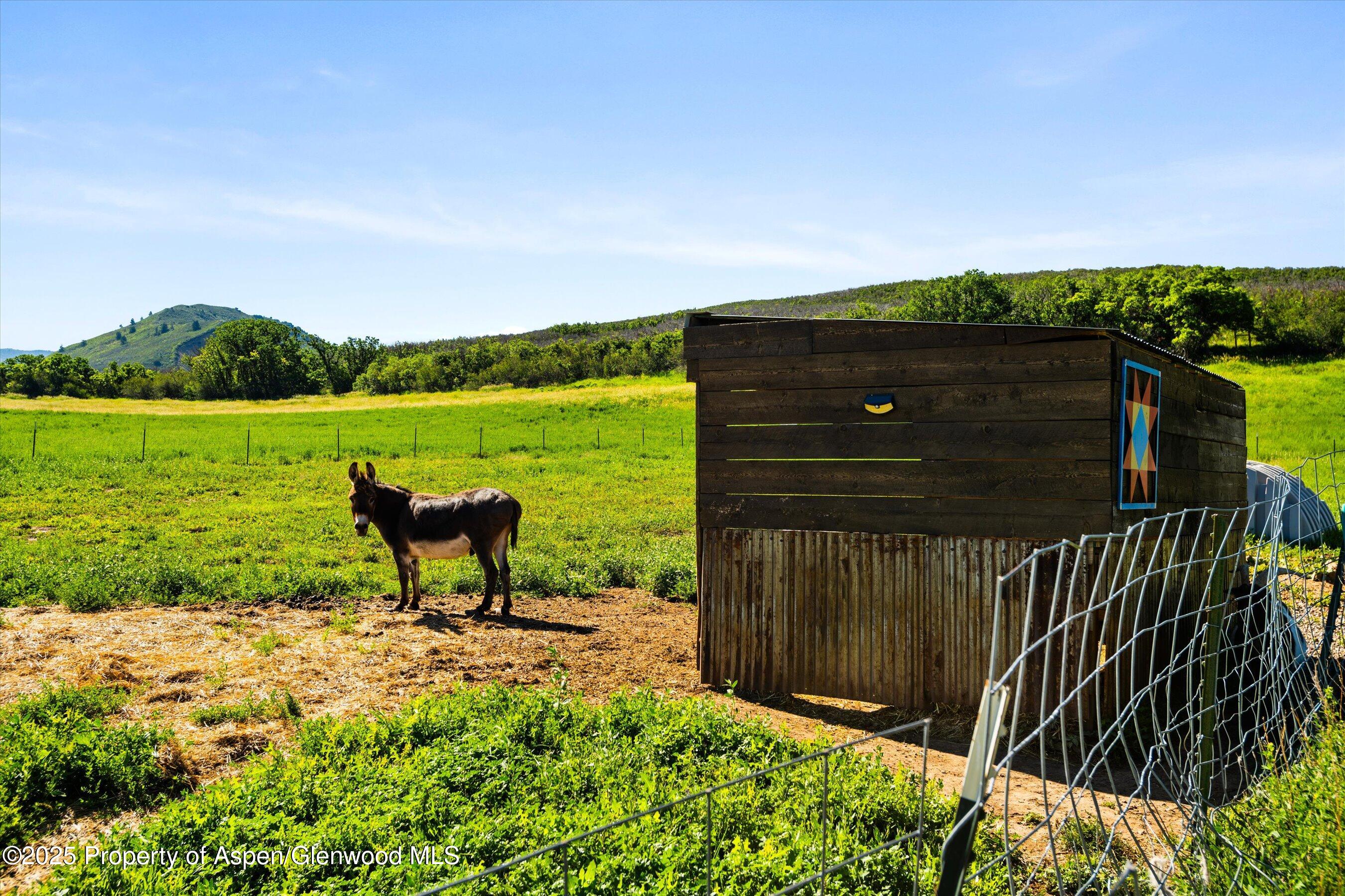 7315 County Road 312 New Castle, CO 81647 - Photo 67 of 75 a garden with wooden fence