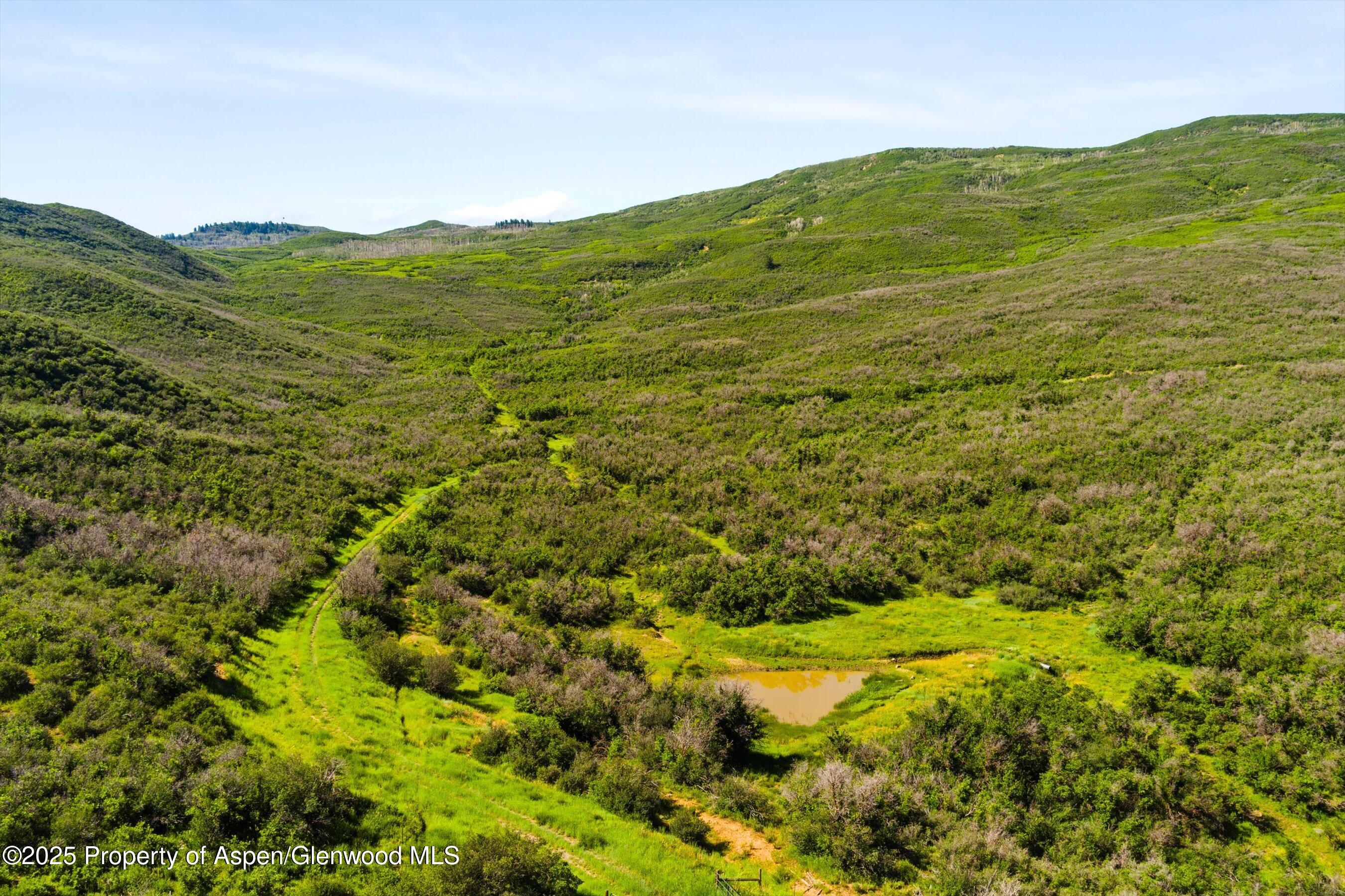 7315 County Road 312 New Castle, CO 81647 - Photo 73 of 75 Acreage - pond behind home