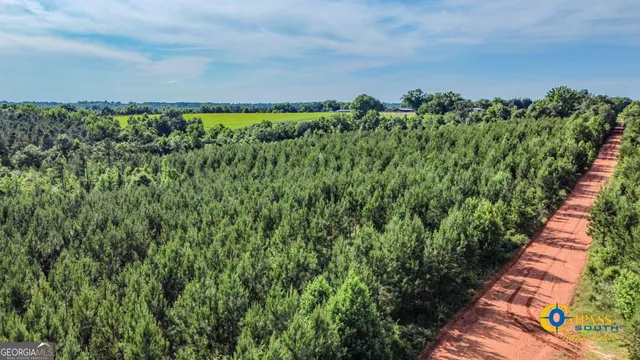 $80,850 | 0 Welch Road, Buena Vista, GA 31803