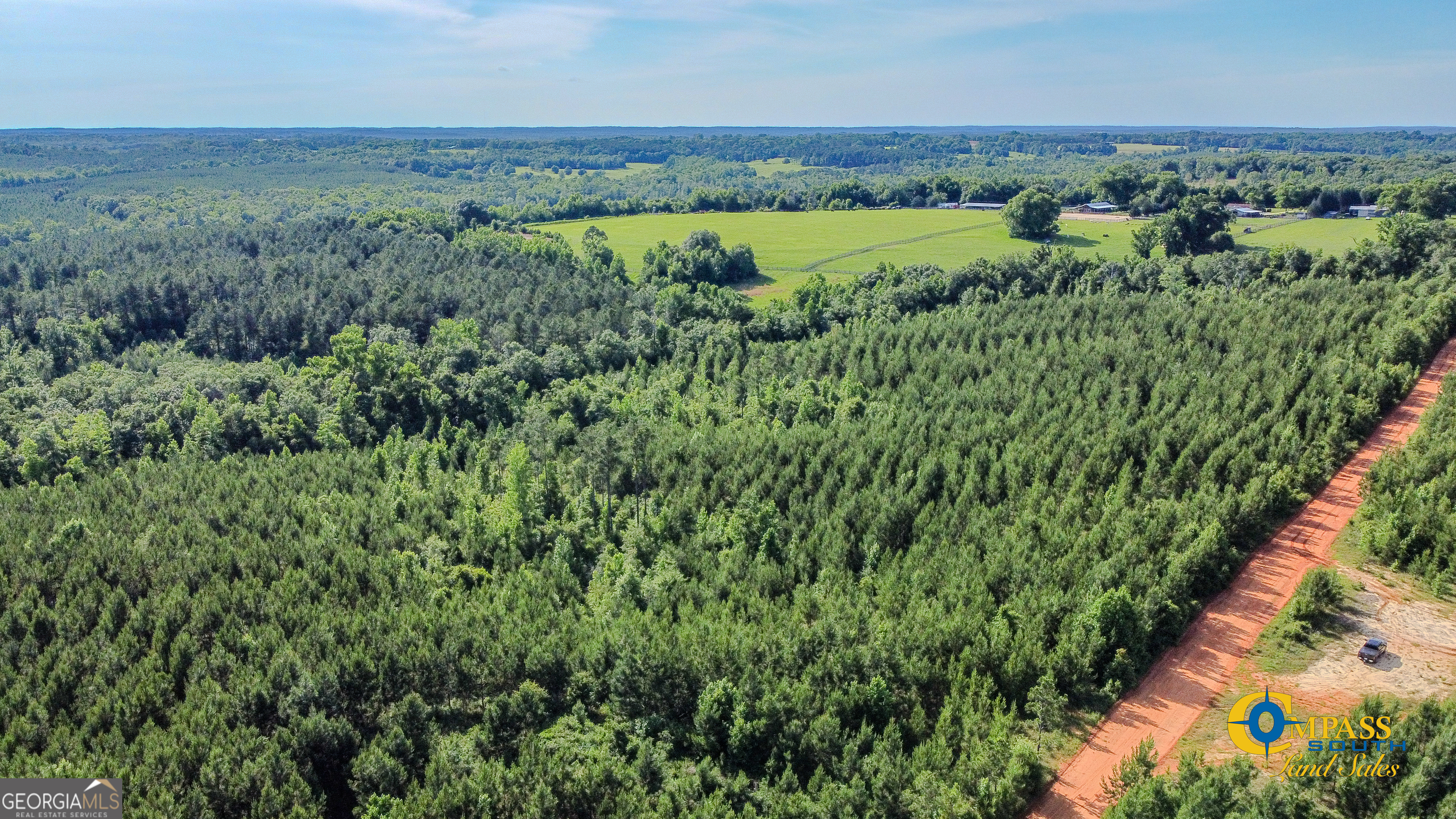 0 Welch Road Buena Vista, GA 31803 - Photo 2 of 5
