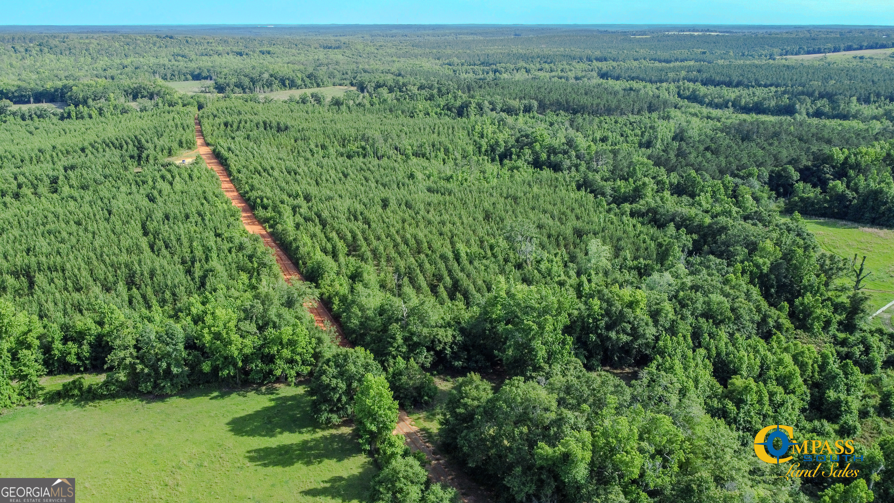 0 Welch Road Buena Vista, GA 31803 - Photo 3 of 5