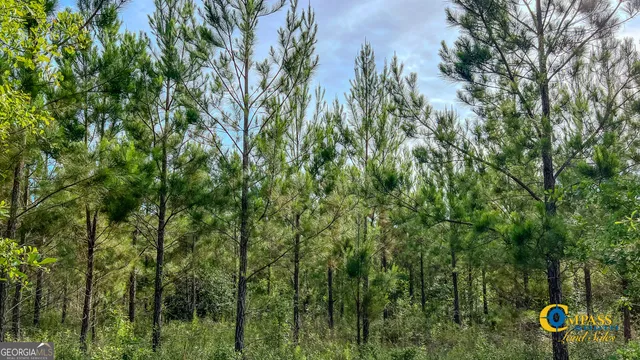 $80,850 | 0 Welch Road, Buena Vista, GA 31803