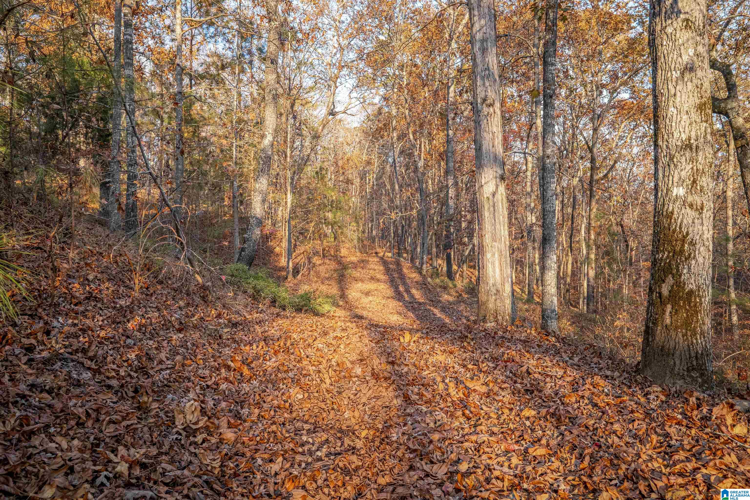 1595 Mohawk Cliff Road Ohatchee, AL 36271 - Photo 59 of 65