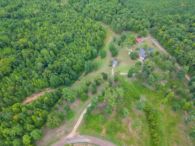 a backyard of a house with lots of green space