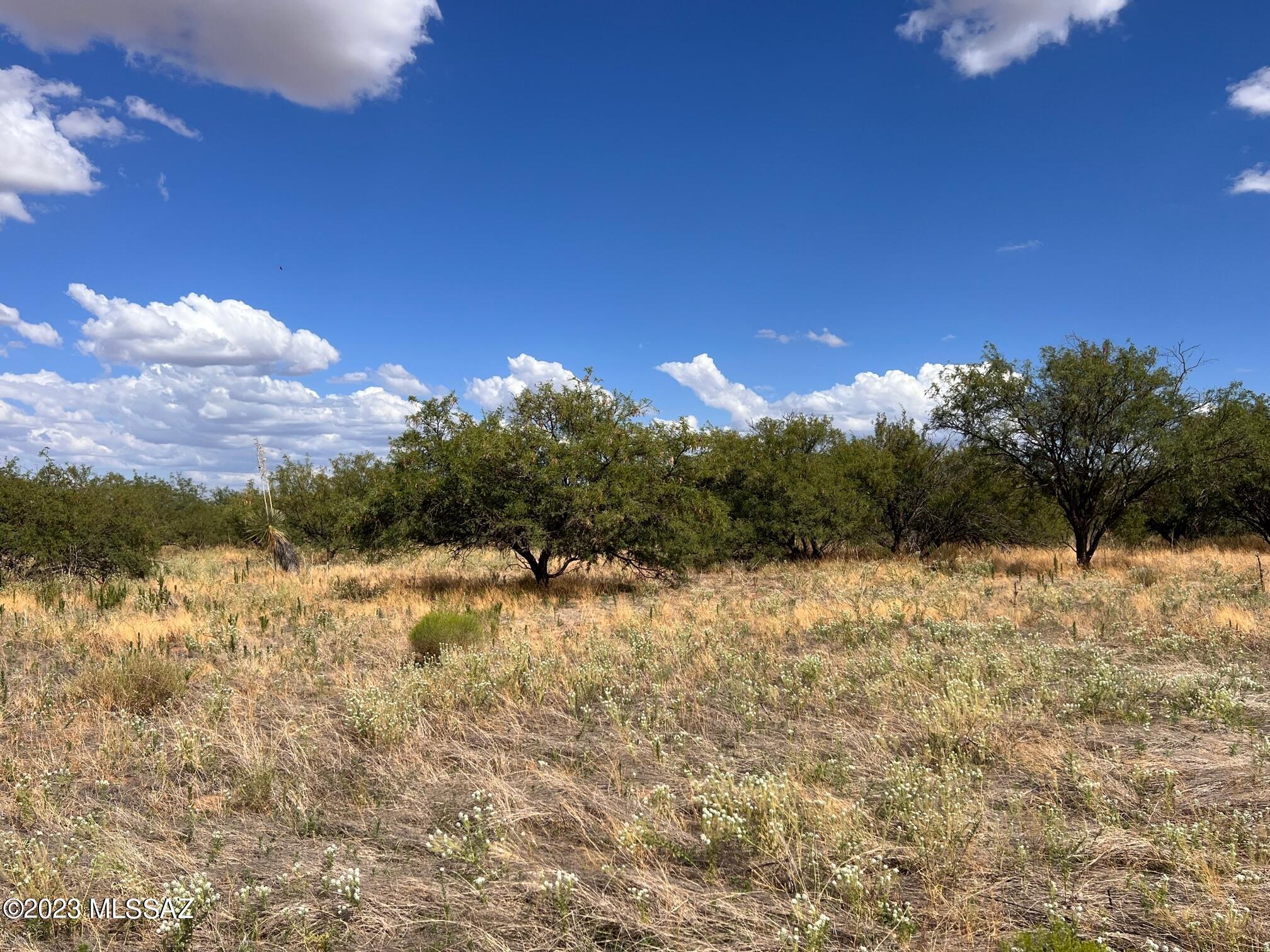 6.32-ac North Skyline Road, Unit 268 Pearce, AZ 85625 - Photo 14 of 17