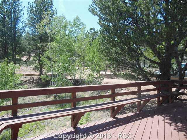 112 Blue Spruce Road Divide, CO 80814 - Photo 19 of 25 Gallery Image 19