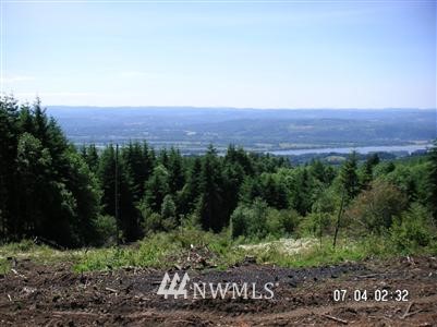 2 Green Mountain Road Kalama, WA 98625 - Photo 1 of 1 Gallery Image 1