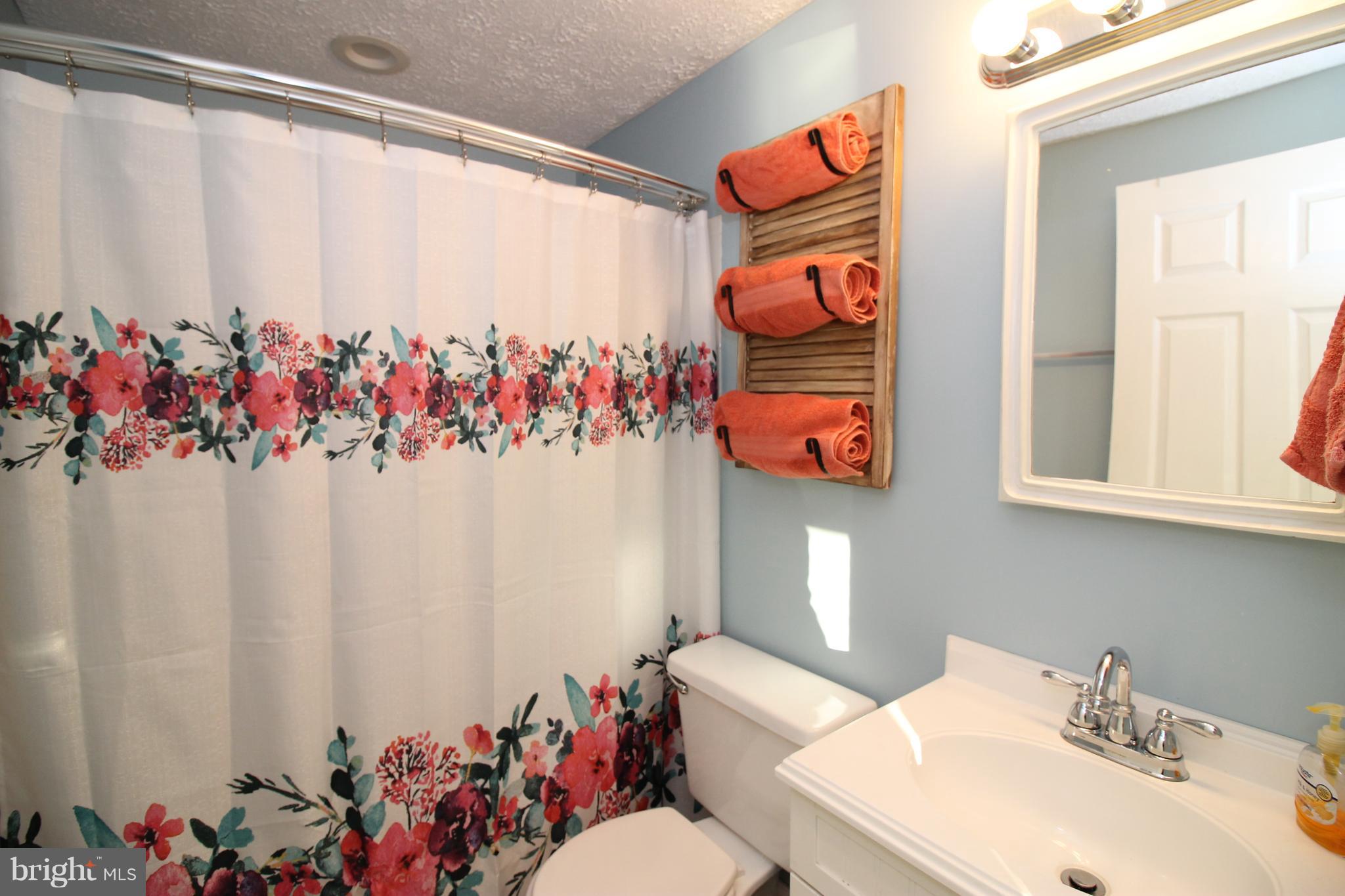 5170 Sumerduck Road Sumerduck, VA 22742 - Photo 9 of 14 Full Bathroom