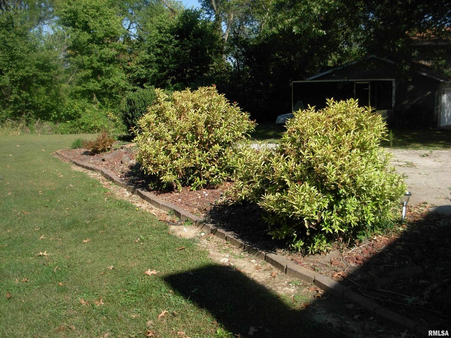108 Andrea Court Cleveland, IL 61241 - Photo 32 of 32 a view of a garden with plants