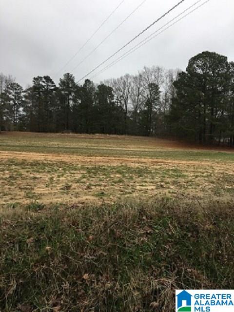 9523 Tingle Cutoff Road, Unit 1 Dora, AL 35062 - Photo 2 of 3