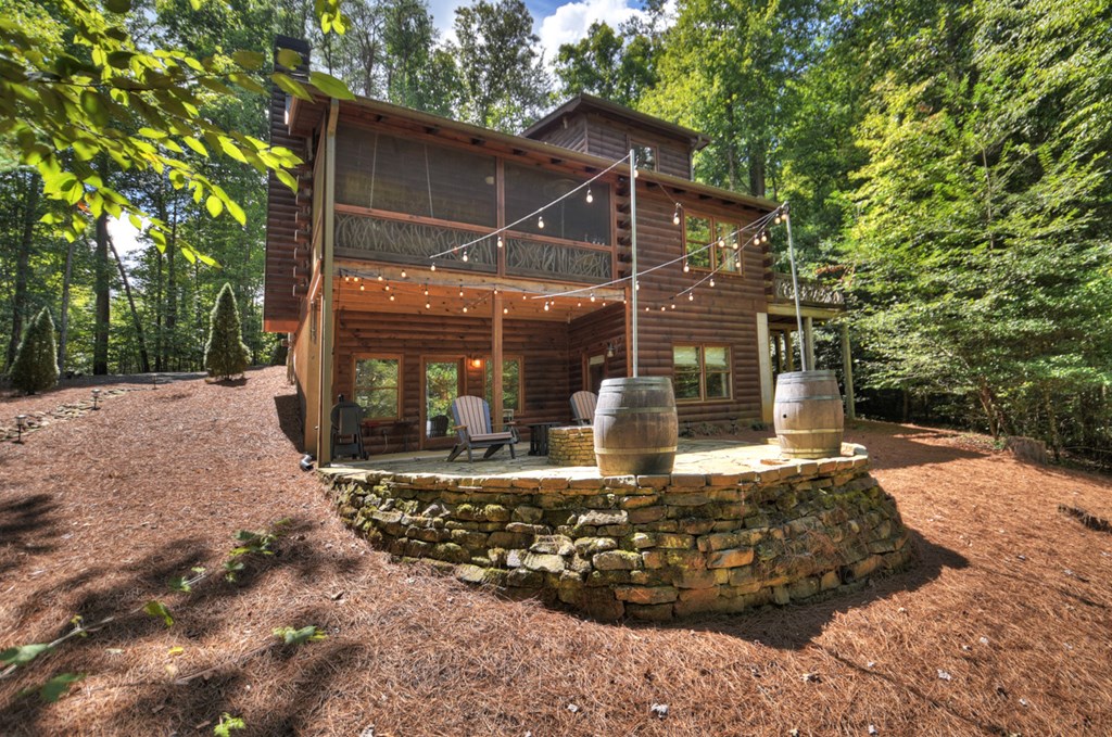 294 Icy Lane Blue Ridge, GA 30513 - Photo 5 of 41 Gallery Image 5