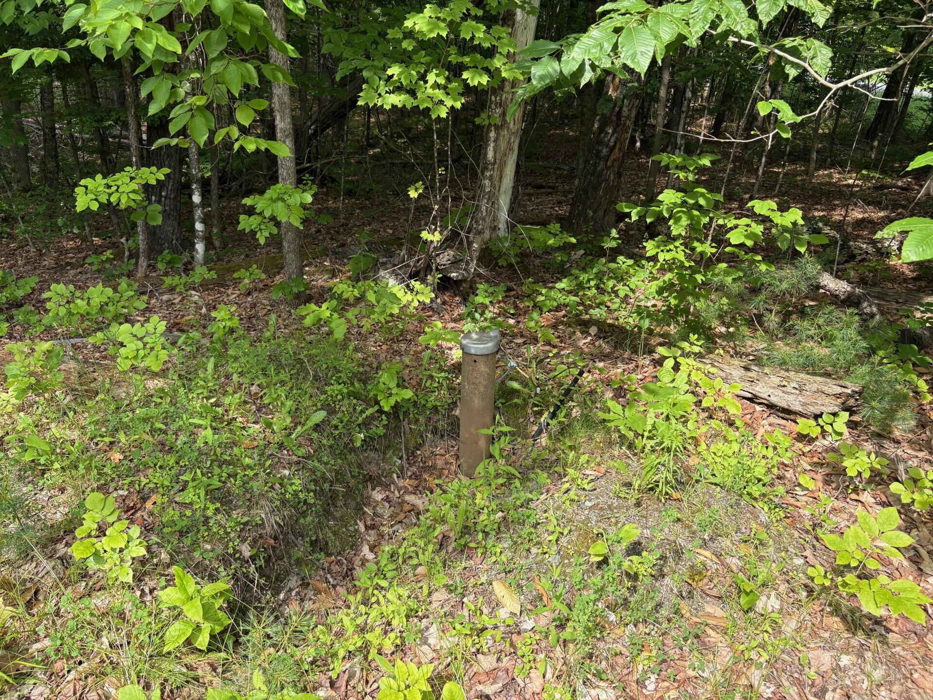 560 Morrill Pond Road Hartland, ME 04943 - Photo 5 of 7 Well