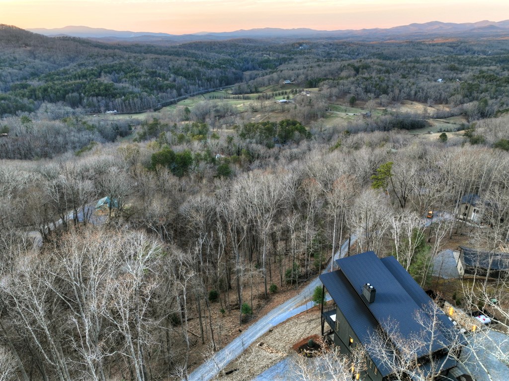 415 Green Ridge Trail Blue Ridge, GA 30513 - Photo 20 of 105