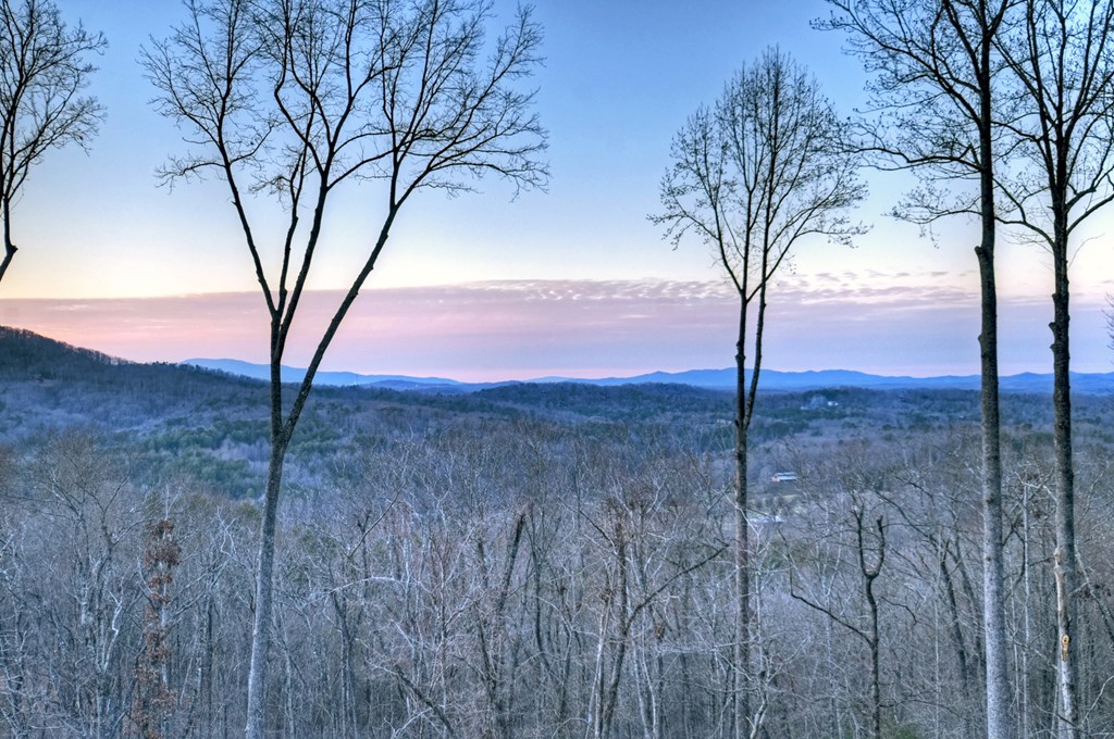 415 Green Ridge Trail Blue Ridge, GA 30513 - Photo 29 of 105