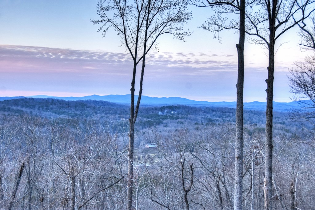 415 Green Ridge Trail Blue Ridge, GA 30513 - Photo 3 of 105