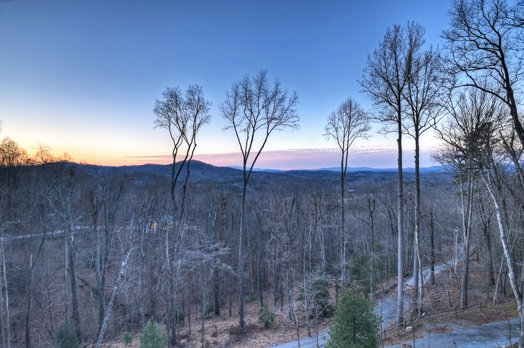 415 Green Ridge Trail Blue Ridge, GA 30513 - Photo 38 of 105