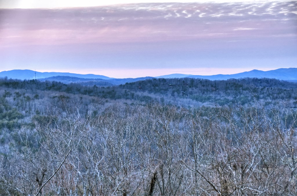 415 Green Ridge Trail Blue Ridge, GA 30513 - Photo 50 of 105