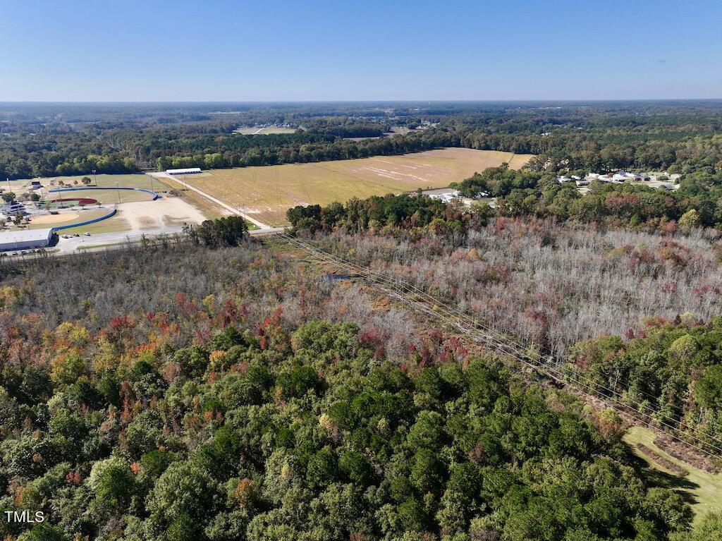 0 Buck Swamp Road Pikeville, NC 27863 - Photo 5 of 38 5