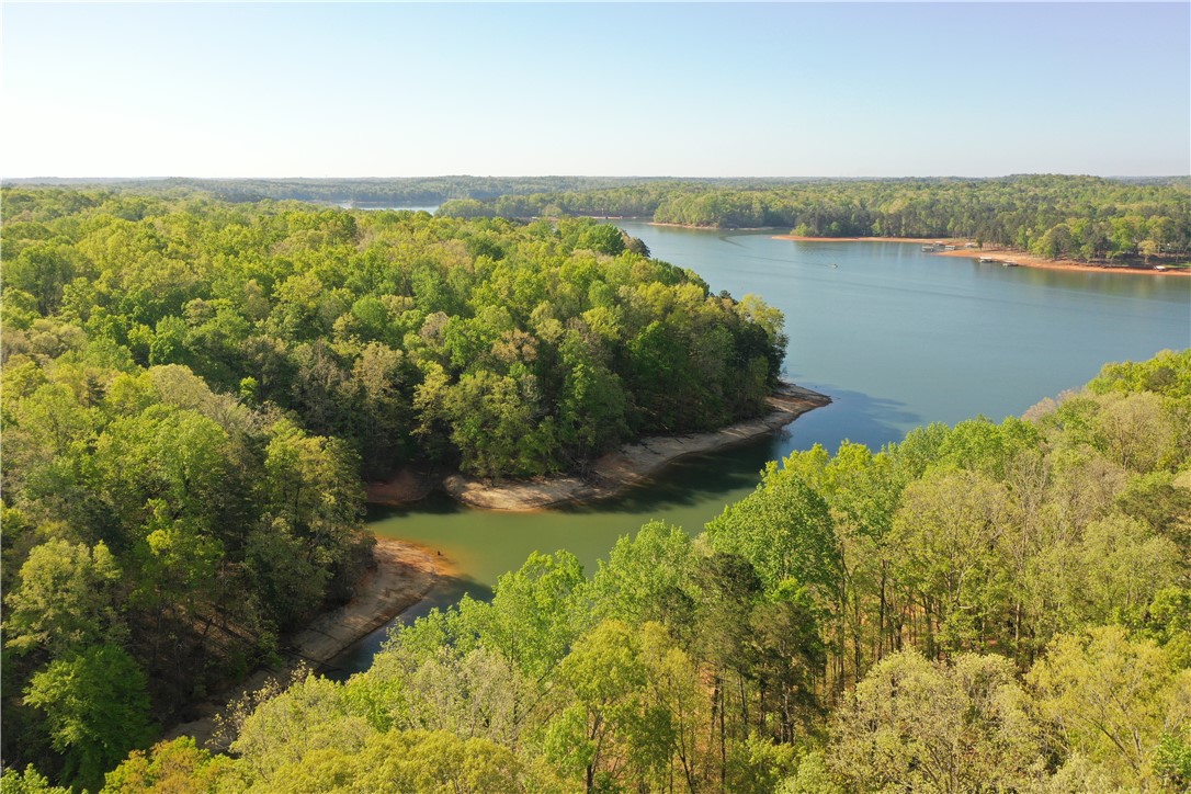 407 Blue Ridge Court Westminster, SC 29693 - Photo 2 of 48 This elevated perspective showcases expansive water vistas surrounded by verdant trees under a clear sky.