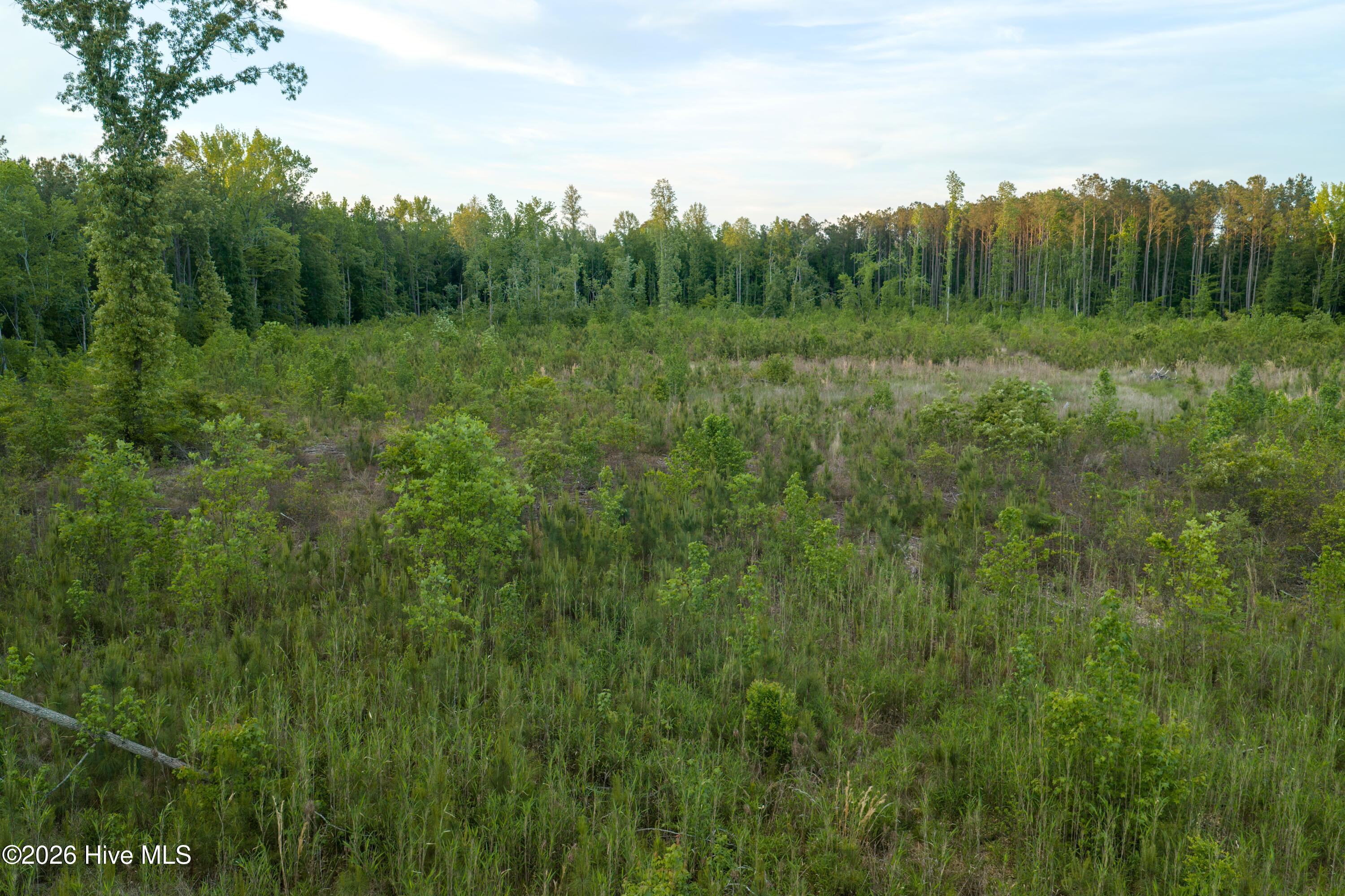 Lot 5 Little Island Road Eure, NC 27935 - Photo 5 of 6 VanceProperty-15