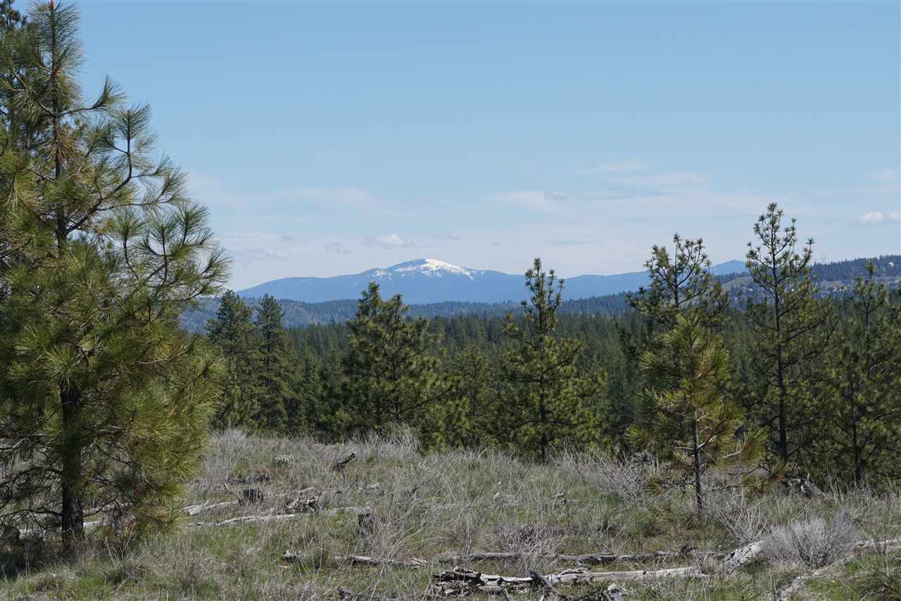 Xx27 Xx27 Garfield Road Spokane, WA 99224 - Photo 1 of 20
