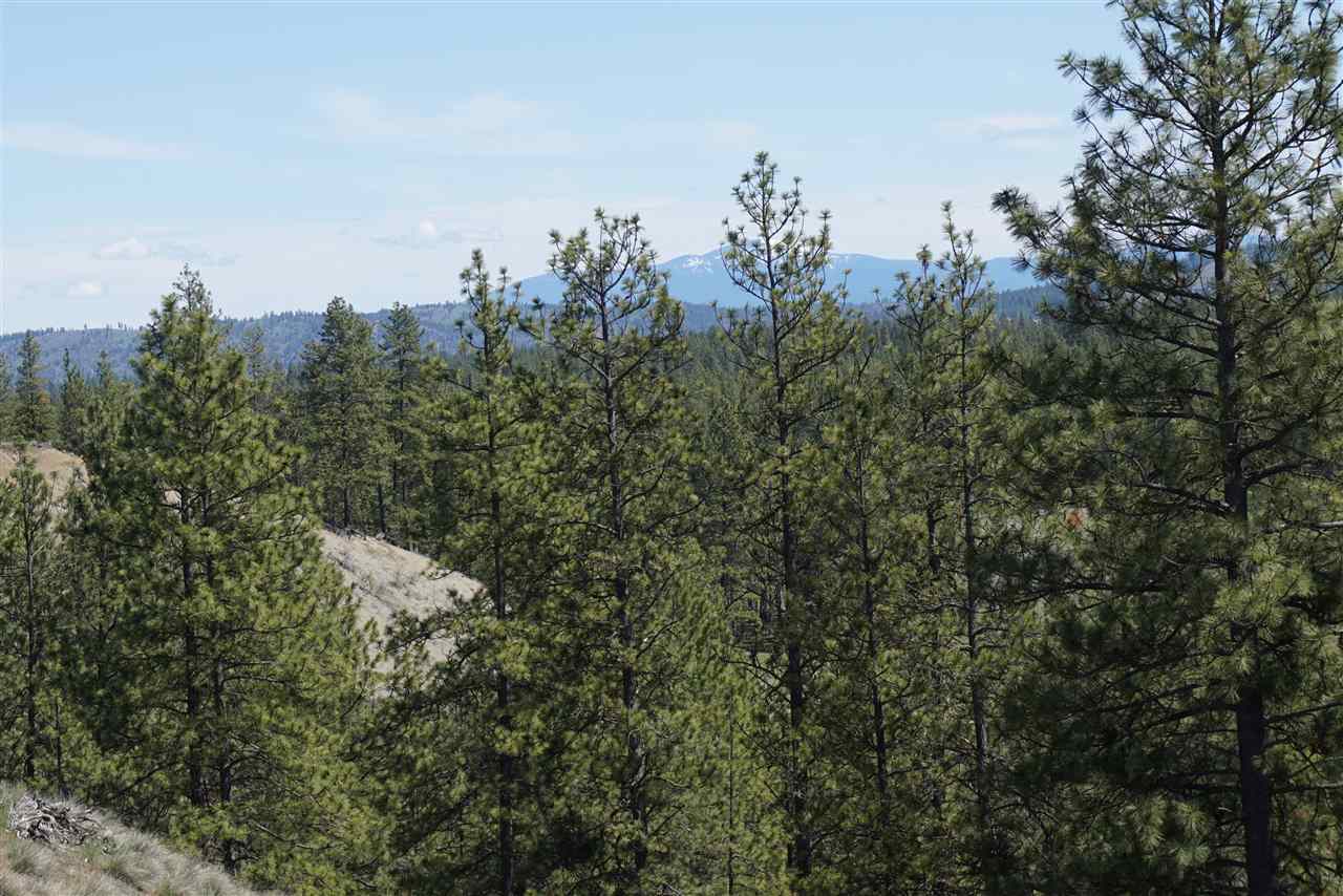 Xx27 Xx27 Garfield Road Spokane, WA 99224 - Photo 2 of 20