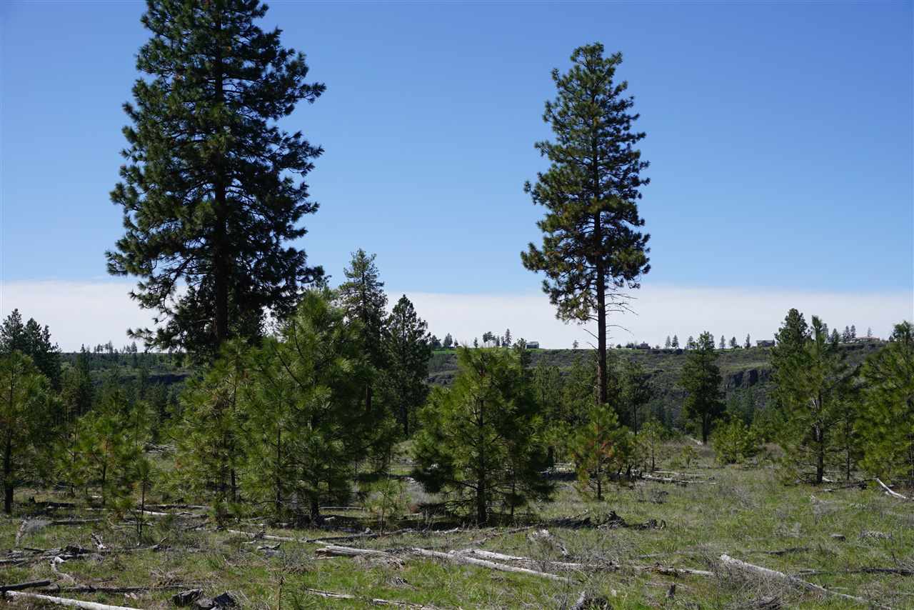 Xx27 Xx27 Garfield Road Spokane, WA 99224 - Photo 11 of 20