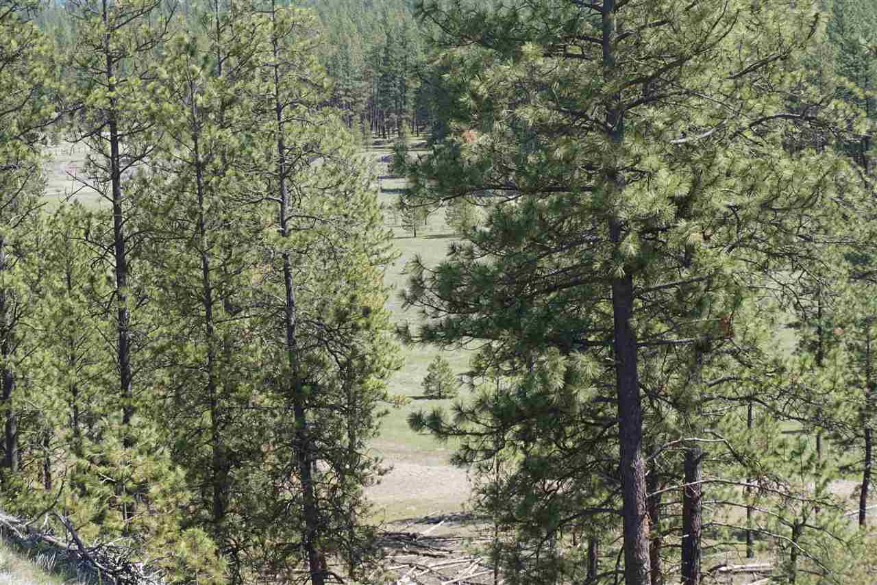 Xx27 Xx27 Garfield Road Spokane, WA 99224 - Photo 12 of 20